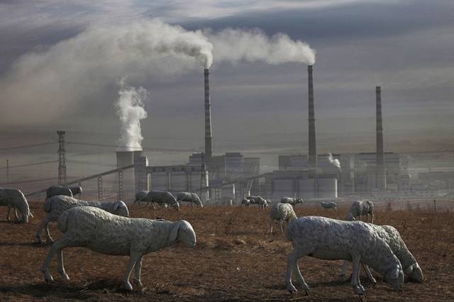 任法融：最可怕的是我们不害怕-道音文化