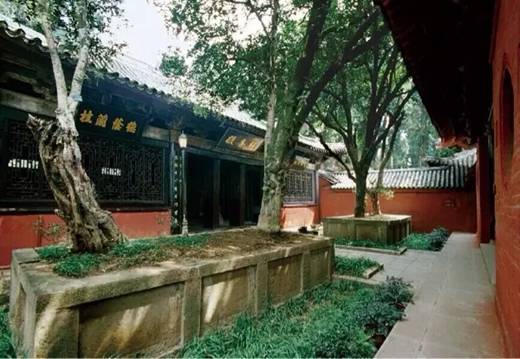 赵琛：历代文人都拜文昌，你拜过吗？