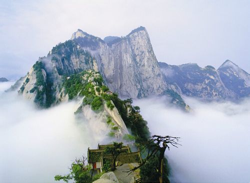 仙林洞天