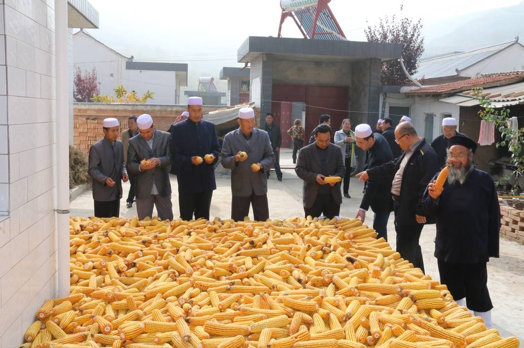 甘肃省平凉市道教人士参加五看五感受活动-道音文化