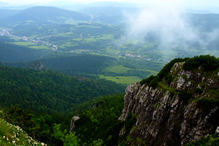 发展民众的道教,而不仅仅是信众的道教-道音文化