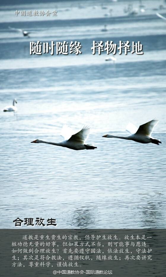 中国道协向各地道观发放宣传海报和宣传册-道音文化