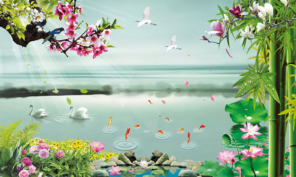 换个角度品老子之鱼不可脱于渊——《道德经》感悟-道音文化