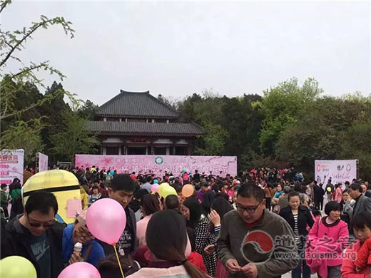 江苏省徐州市彭祖园举办第十六届樱花节-道音文化