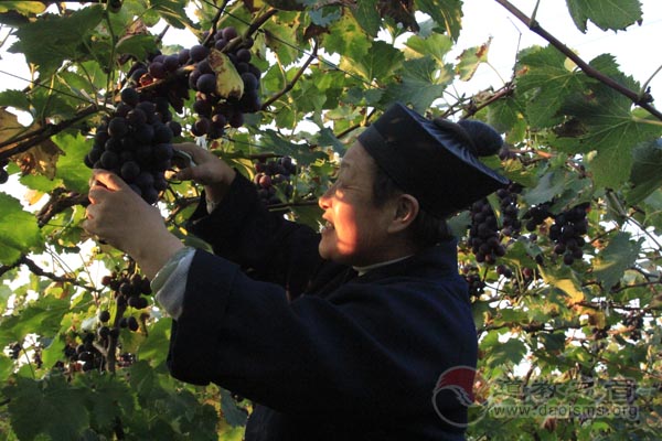道人宁施人勿为人所施，农道合修慈范常在千秋