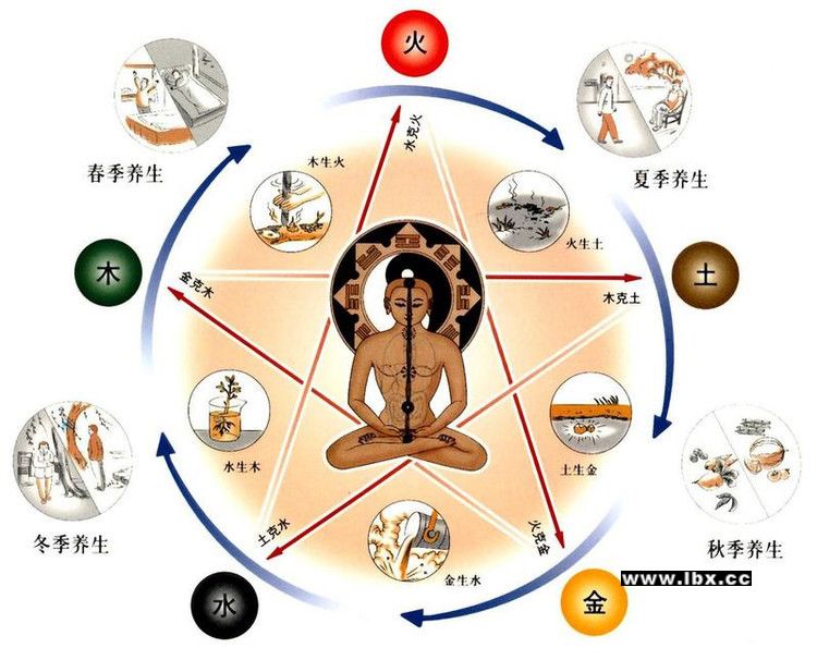 养生是一种文化，一种哲学