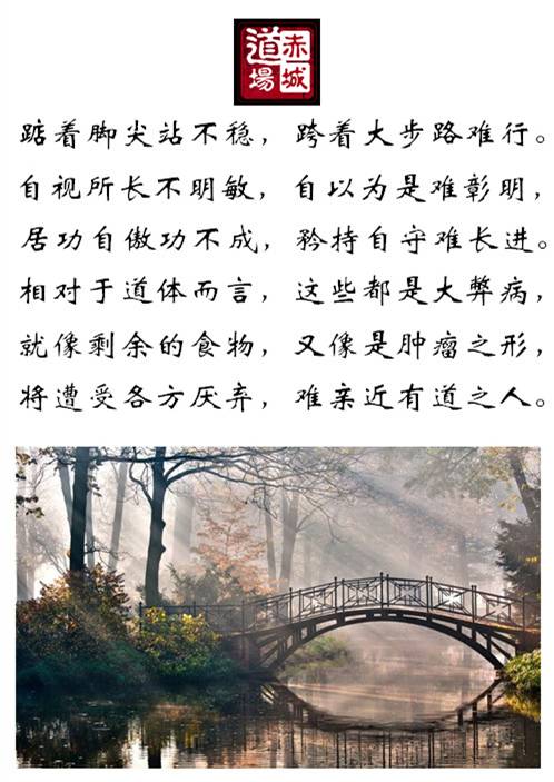 卢国龙教授讲《道德经》第二十四章-道音文化