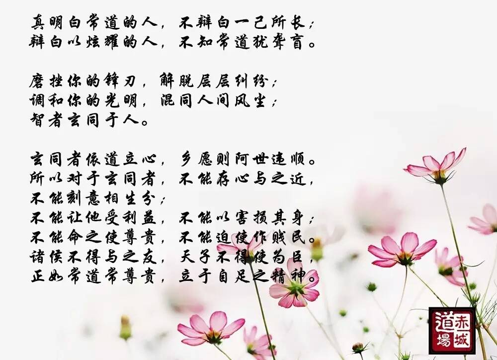 卢国龙教授讲《道德经》第五十六章-道音文化