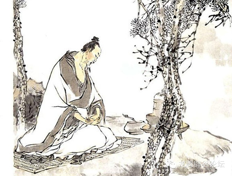 从老虎伤人事件谈个人内心的修炼-道音文化