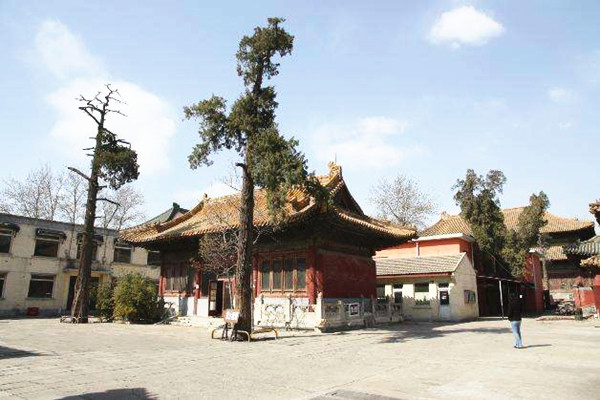 北京市故宫大高玄殿有望三年内向游客开放-道音文化