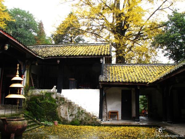 道教超度把亡魂送到了青城山还是送到了南昌？
