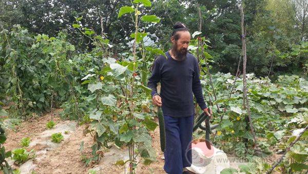 贫能养道——宝鸡龙门洞道众的尘劳修行生活