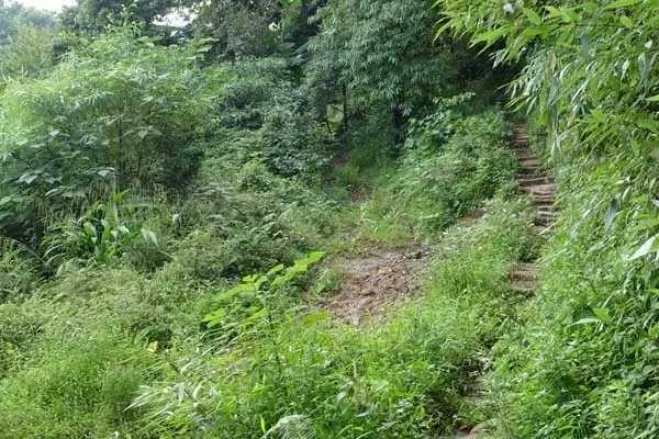 寻道路上：住在山顶守着破庙，两三个道士在修行