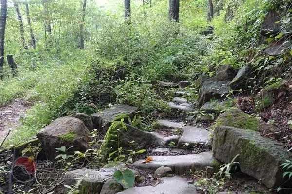寻道路上：住在山顶守着破庙，两三个道士在修行