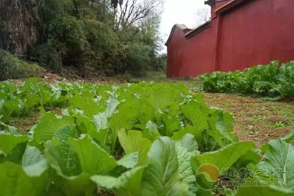 寻道路上：住在山顶守着破庙，两三个道士在修行