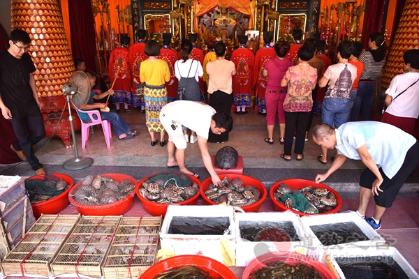 广东陆丰市妈祖文化研究会开展保护环境活动