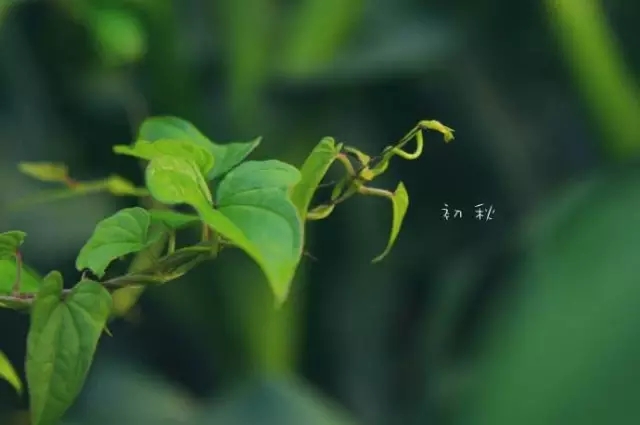 善恶随人作，祸福自己招