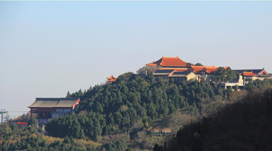 盈一抹微笑，将岁月打磨成人生枝头最美的风景