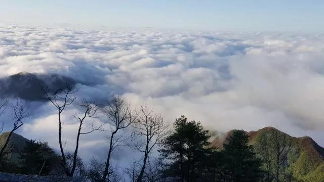 樊光春：天下终南，文化大道