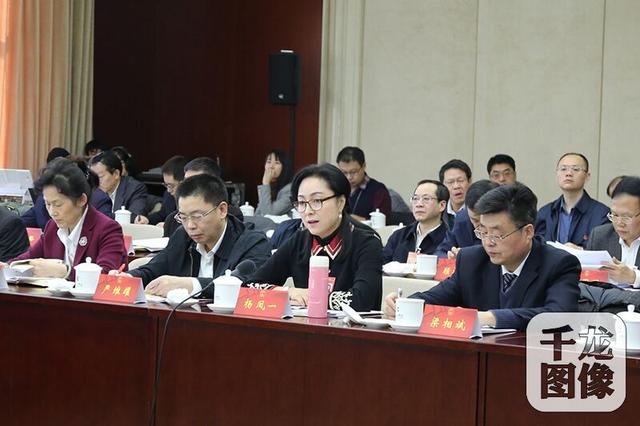 如何保护传统文化？听听北京市人大代表怎么说