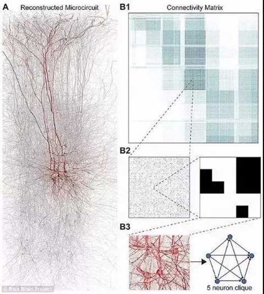 髡残、内经图与类比法——道家图像与技术哲学演讲稿-道音文化