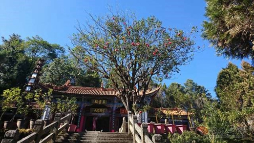首届凤庆县石洞峙三八节摄影大赛邀请赛