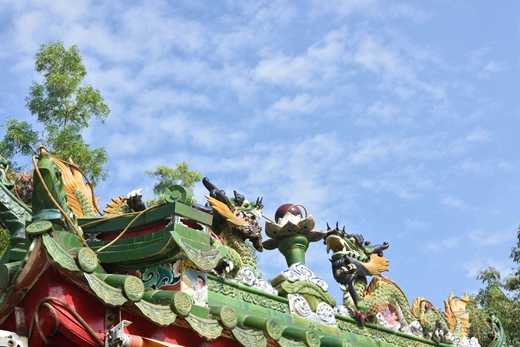 台湾涂金枝医师在陆丰紫竹观义诊