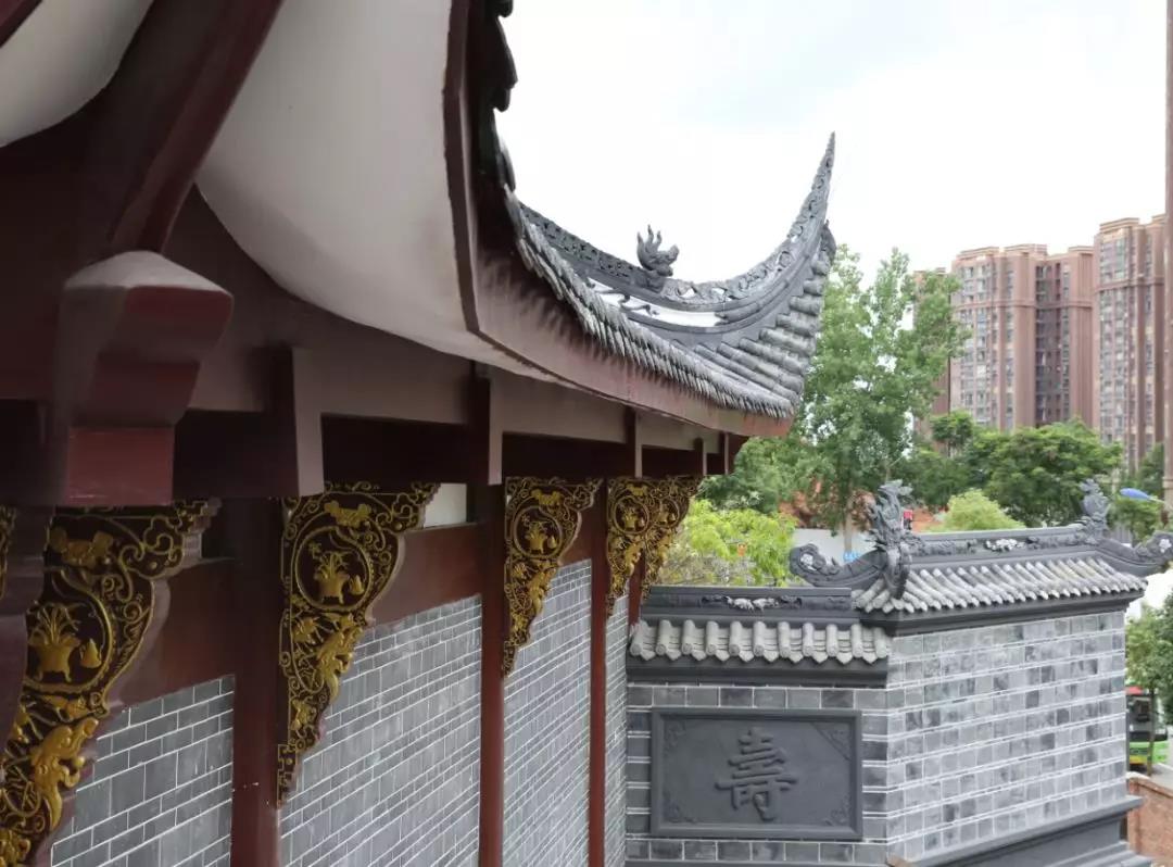 真多观