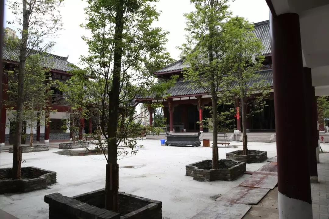 真多观