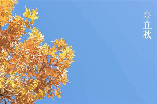 秋季气象——养生者必谨奉天时