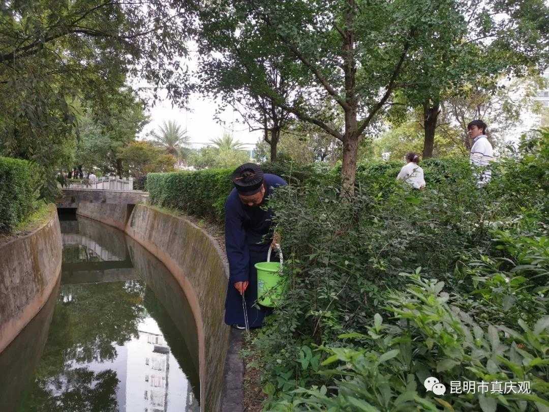 “昆明滇池卫士”市道教协会志愿者服务队在行动-道音文化