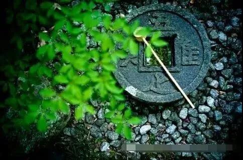 道学智慧：无为不争，是最妙的处世之道