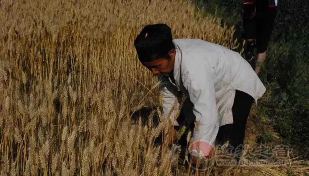 也说PUA，这回从道家的“机心”一词说开去
