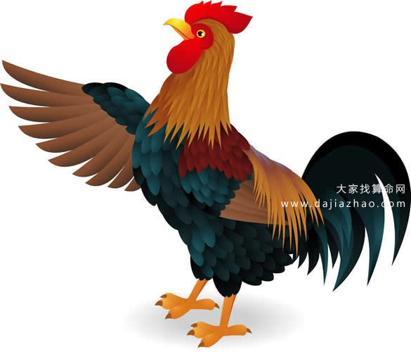 属鸡2020年运势及运程-道音文化