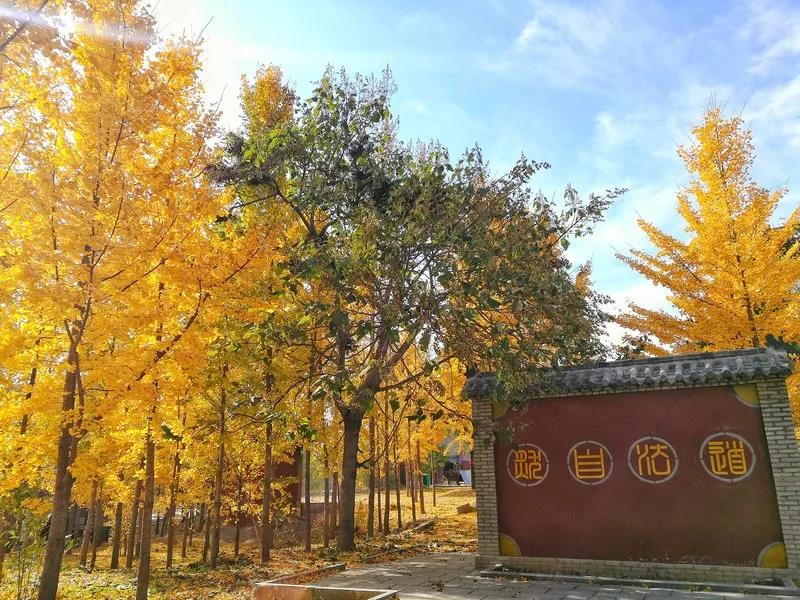 经历过人性蹉跎，才知修行事等不得