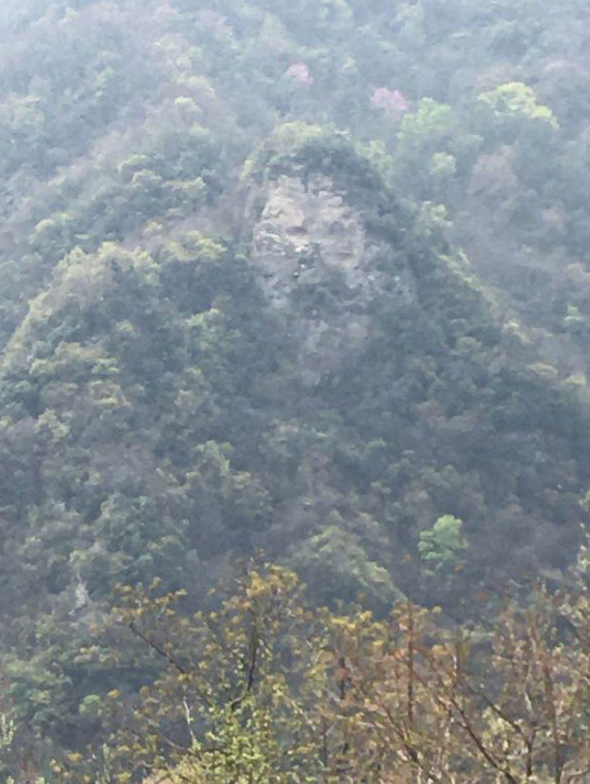 湖北武当山东神道惊现清代樃梅派传人墓群-道音文化