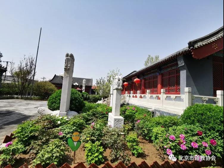 北京市各宫观疫情期间环境整治成效凸显-道音文化