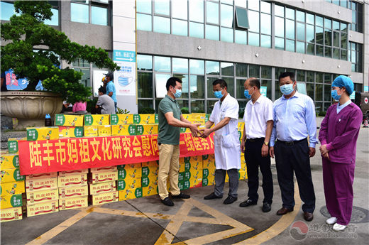 广东省陆丰市妈祖文化团体慰问一线战疫医护人员-道音文化