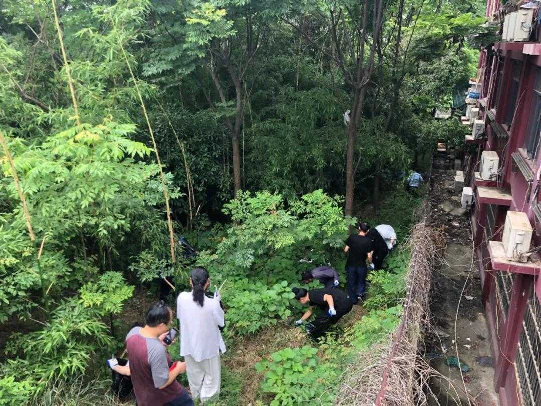 湖北省武汉长春观积极开展爱国卫生运动-道音文化