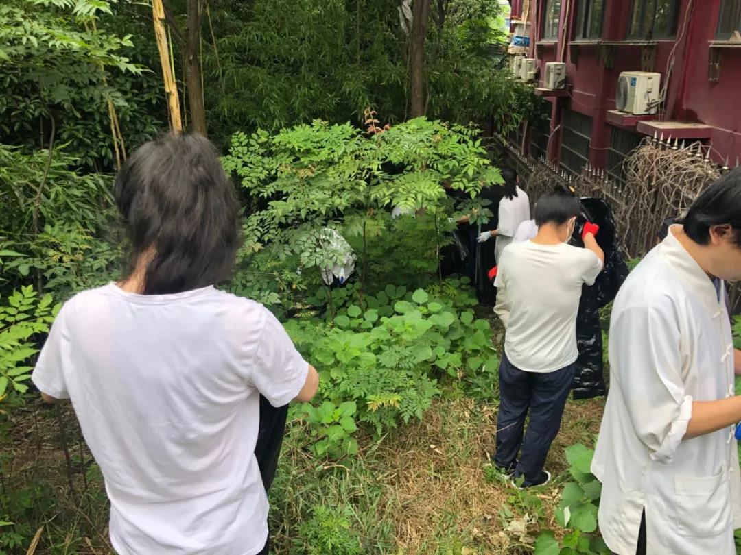 湖北省武汉长春观积极开展爱国卫生运动-道音文化