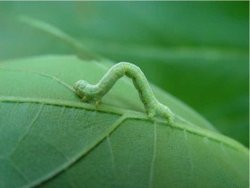 《遥想当年老子讲道》系列：第二十二章