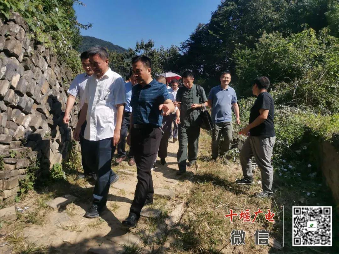 武当山五龙宫遗址考古发掘开工仪式在五龙宫景区举行-道音文化
