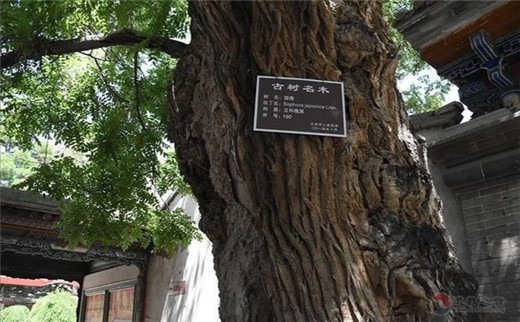 甘肃兰州金天观