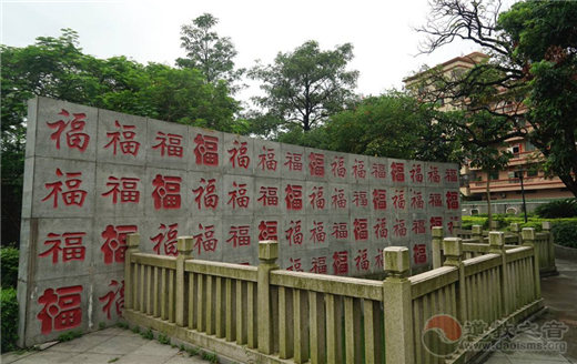 道医，领我进入了道门，参悟了人生之门