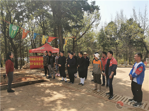 云南省道教协会开展护林活动