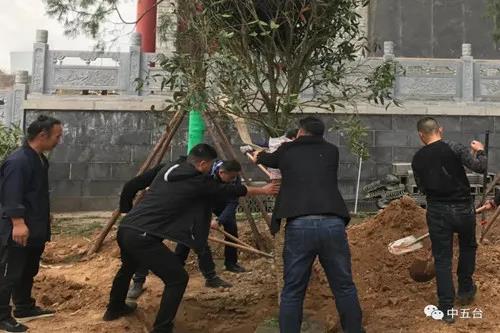 陕西省西咸新区秦汉新城正阳宫举行植树活动-道音文化