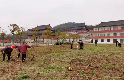 南京方山洞玄观开展义务植树活动