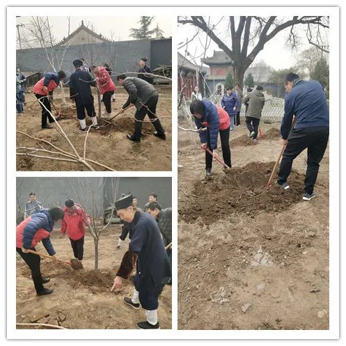 北京市道教协会秘书处赴佑民观学习美丽宫观建设经验并开展植树活动