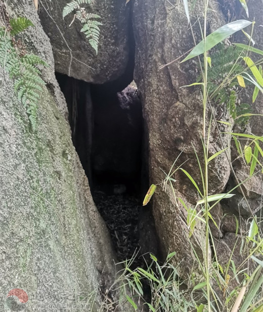南岳山道观经过长达三十年的陆续重修，其建筑群气派宏伟、典雅别致、巍峨壮观。登临顶峰，居高俯瞰：满山松柏青青，殿宇矗立其间；周围市区，高楼林立；长江至此九曲向东像一条银色的飘带；古老文明与现代文明交相辉映。 有诗赞曰：“原野青峰崛，长江曲向东。琼楼拔地起，道乐静听中。神仙临此处，无意返天宫。”一言以蔽之，此乃人间仙境也！ 因南岳山地处温带，四季分明，故有“一年四景”并“一日三象”之风光。 首先观“一年四景”。该山李道长长年居山修道，作有《龙盖四景》（南岳山原名龙盖山）一诗，现恭录以飨读者：  一 春来丽日照丛林，隔断荆江车马声。 与世无争宁静日，道心到处见天心。  二 夏日高山景物幽，葱茏万木喜凝眸。 东来紫气临何处？欲借青骑一伴游。  三 秋月圆明挂碧空，清光处处古今同。 眼前九曲回肠地，遥与瀛洲一线通。  四 冬至龙山别有天，烧丹炉火伴经眠。 一宵白雪催诗兴，笑咏人间不老仙。  	接下来，观“一日三象”。曾于此山昄依的东航道人，奉和其诗而作有《龙盖三咏》（即早中晚三咏），现与君分享：  一 东升旭日照丛林，道乐悠扬醉我心。 喜遇山腰白雾起，飘然天上一仙人。  二 登临极顶日当空，东眺长江缥缈中。 莫叹蓬莱太遥远，眼前胜境一般同。  三 峻岭崇山明月照，琼楼玉宇似天宫。 此时忽觉人间外，仿佛身居霄汉中。  而今，南岳山道观香客如云，游人如织，令人流连忘返。有拜谒者留诗曰：“信仰众神仙，喜登南岳山。诚心三叩首，祈愿九州安。” 更有《水经》、《方舆纪要》等书记载的庙东"石湫，号龙穴"，至今仍水涌不止，清澈透明，其味甜美芳洌，访古探幽者不绝于途。总之，今日之南岳山，已成为闻名遐迩的祈福仙山、游览胜地。 欣逢中华盛世，道观重现异彩，故略述其始末以记。   东航道人周高德 2022年4月25日于石首南岳山道观初稿 2022年5月16日于北京白云观定稿