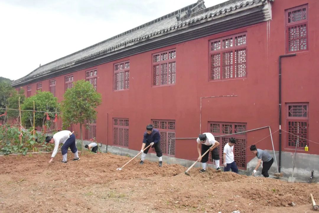 崇俭戒奢·农道合修——武当山道教学院开展农耕实践